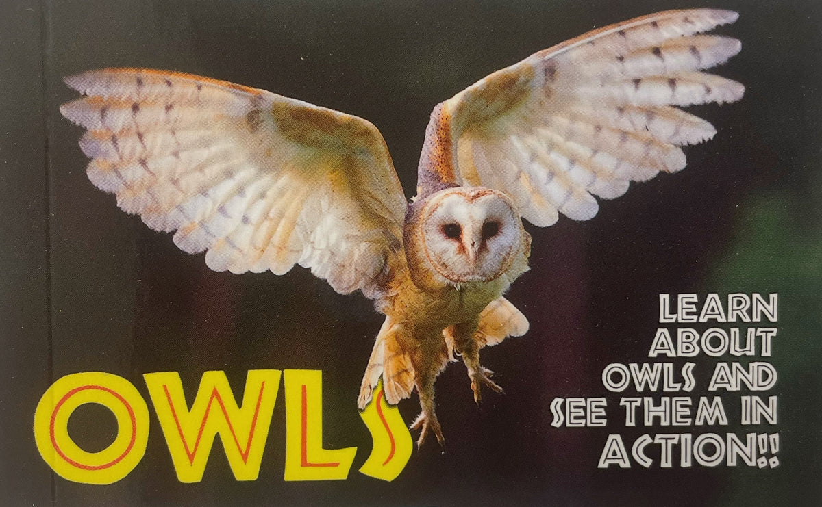 Flipworkz Flipbooks – Joshua Tree National Park Association