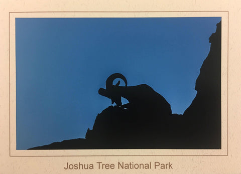 Silhouette Desert Bighorn Sheep Note Card - Joshua Tree National Park Association