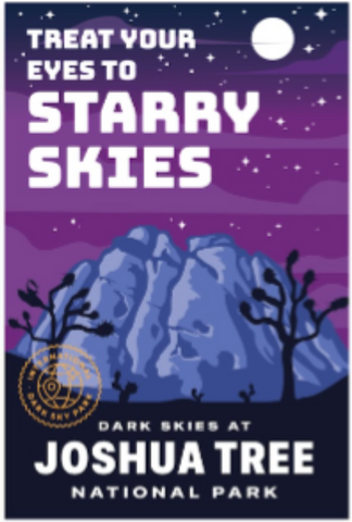 Starry Skies Postcard