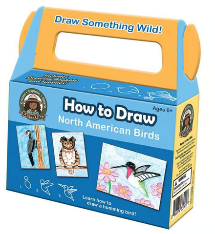 How to Draw North American Birds