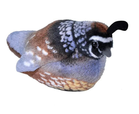 Singing Bird - California Quail Plush #21383