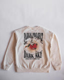 Parks Project Dark Sky Crew