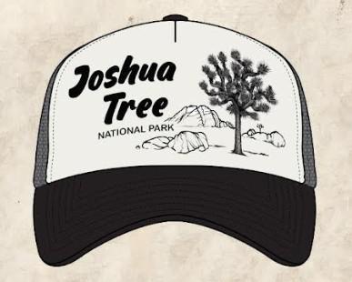 Joshua Tree Sketch Hat