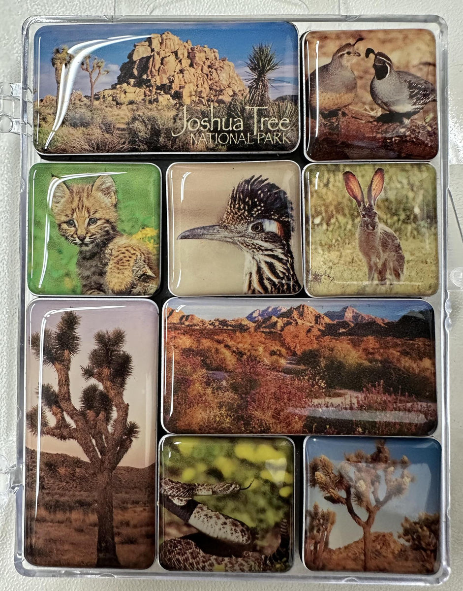 JTNP Mini Magnet Pack – Joshua Tree National Park Association