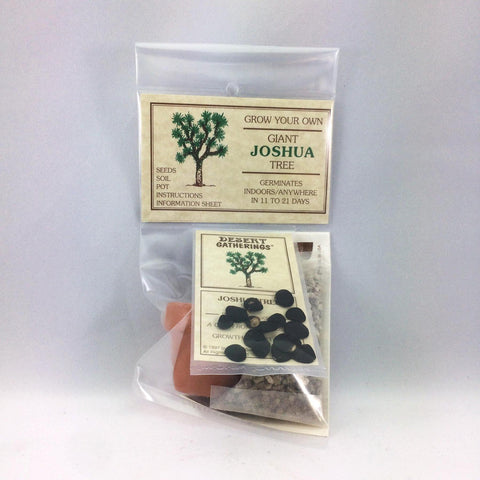 Grow Your Own Joshua Tree Kit