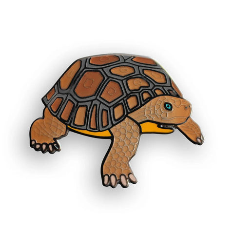 Wildlife Collection Desert Tortoise Pin