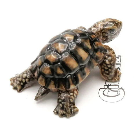 Little Critterz Tortoise