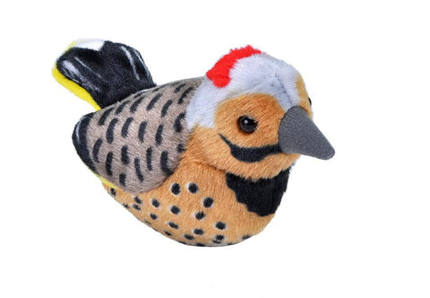 Singing Bird - Northern Flicker Plush #21382