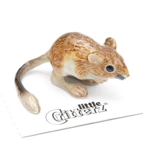 Little Critterz Kangaroo Rat