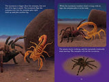 Who Would Win? Tarantula vs. Scorpion