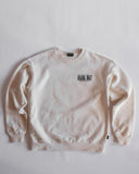 Parks Project Dark Sky Crew