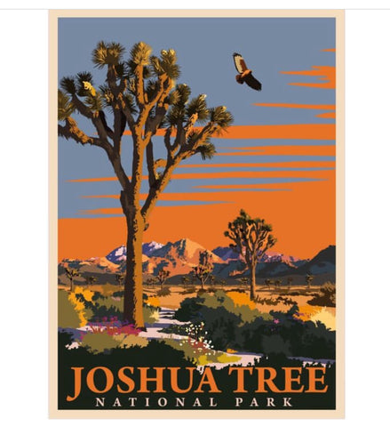 Joshua Tree National Park Hawk Poster