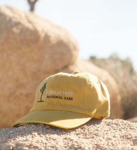 Yellow cap with Joshua Tree National Park logo on a rock with Joshua Tree in the background