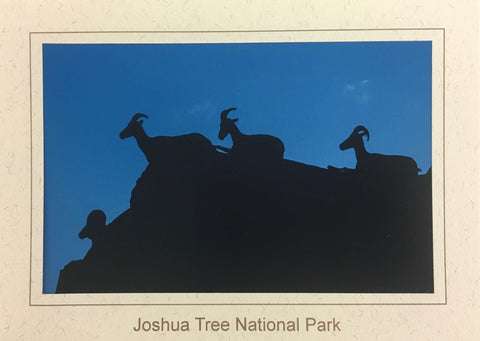 Silhouette Desert Bighorn Note Card - Joshua Tree National Park Association
