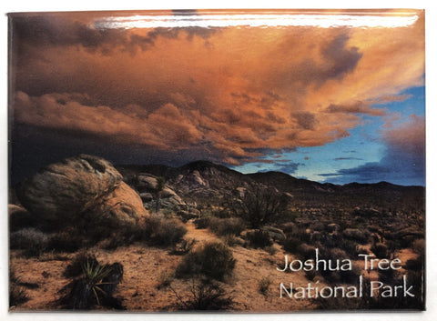 Sunset Hall of Horrors Magnet - Joshua Tree National Park Association