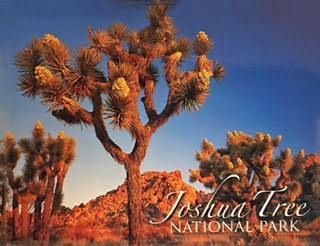 Joshua Tree National Park Magnet - Joshua Tree National Park Association