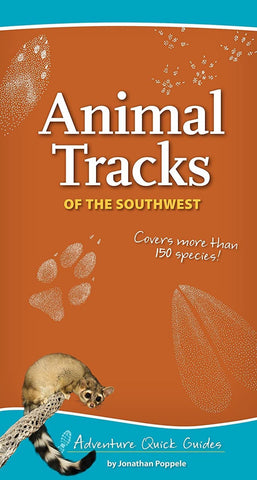 Animal Tracks Of The Southwest - Joshua Tree National Park Association