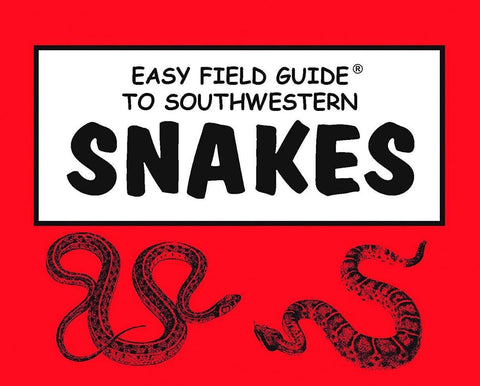 Easy Field Guide To Southwestern Snakes - Joshua Tree National Park Association