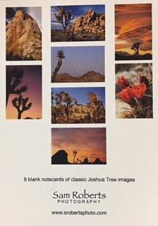 Sam Roberts Note Card Pack - Joshua Tree National Park Association