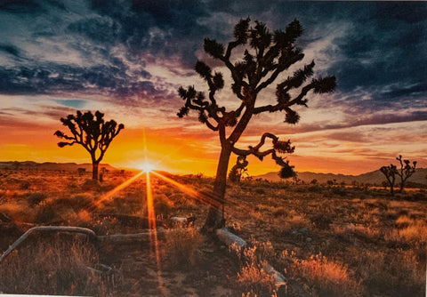 Outshined Notecard