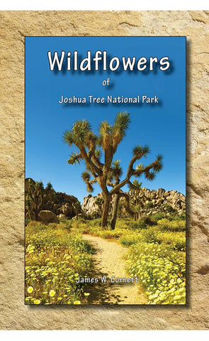 Wildflowers of Joshua Tree National Park